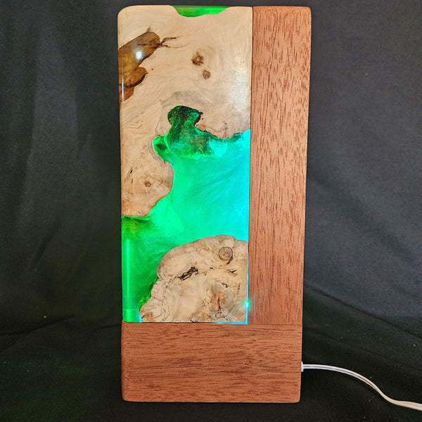 Lampe déco AQUARIUM RGB 2